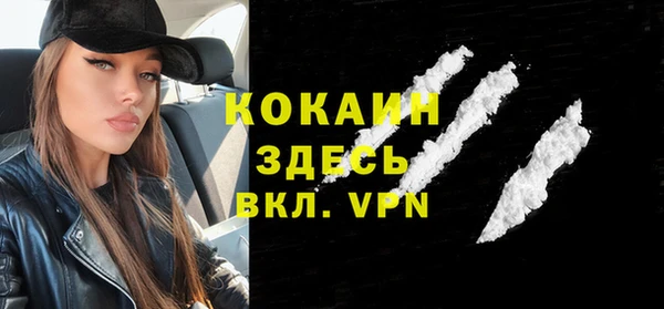 сатива Арсеньев