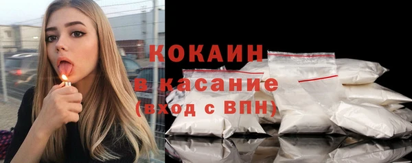 сатива Арсеньев