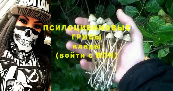гидра Балабаново