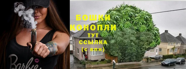 ПСИЛОЦИБИНОВЫЕ ГРИБЫ Аркадак